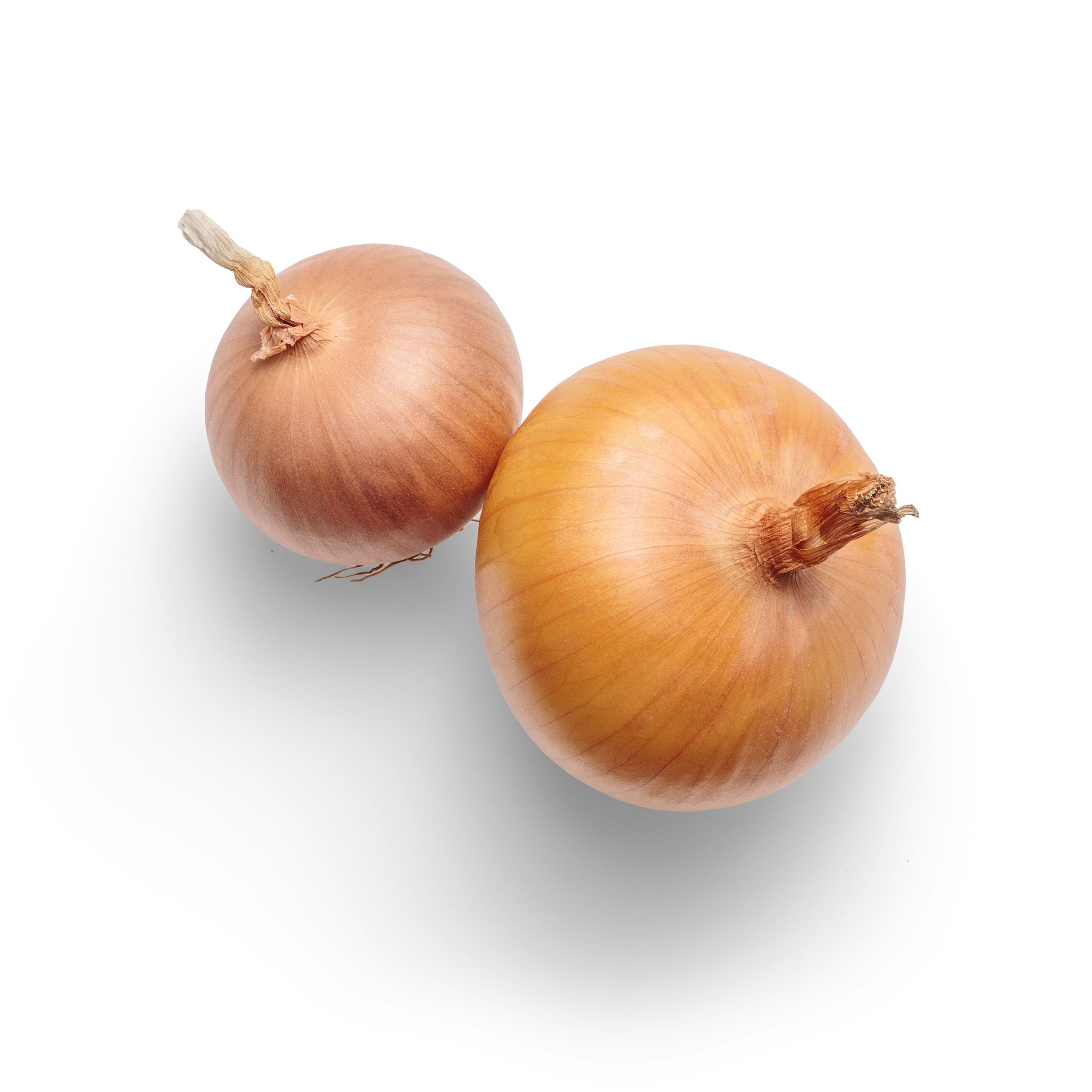The Humble Onion